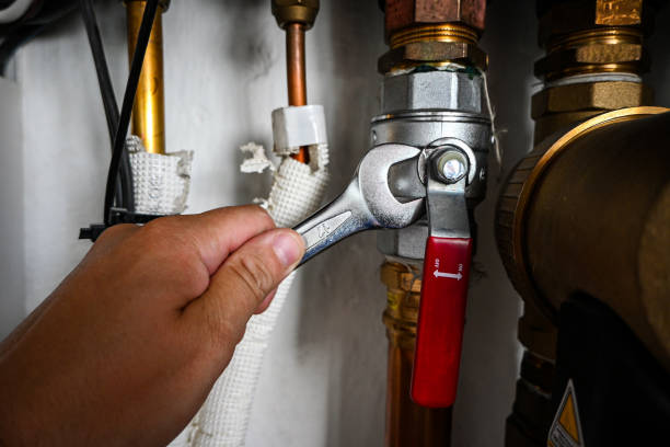 Best Clogged Drain Plumber  in Lake Belvedere Estates, FL